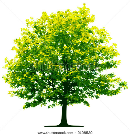 Vector Trees Clip Art