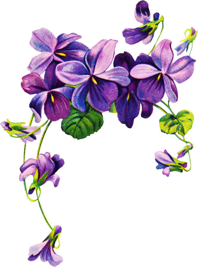 Vintage Violet Flower Clip Art