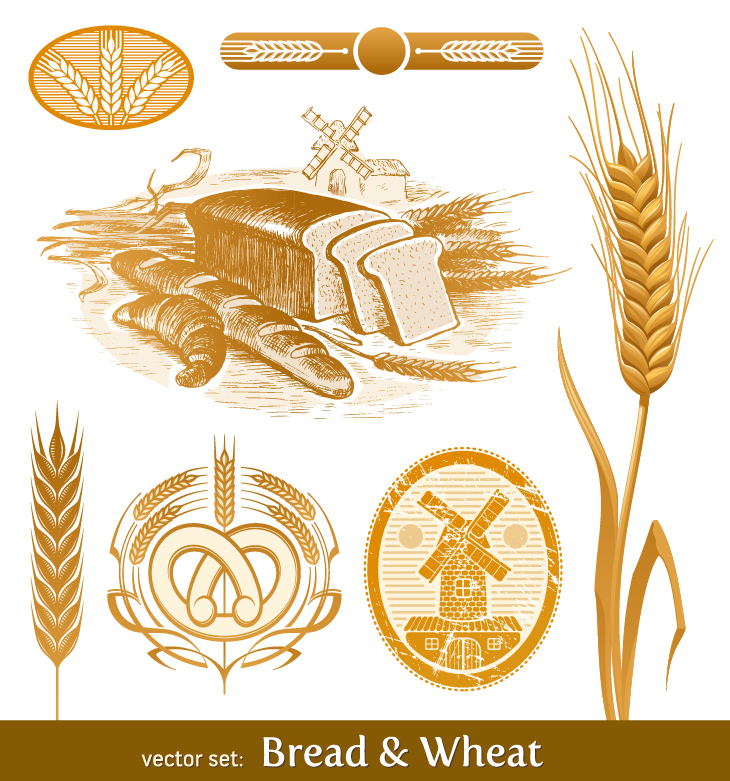 Wheat Vector Graphics