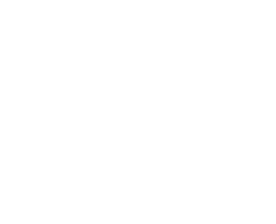White Twitter Bird Logo