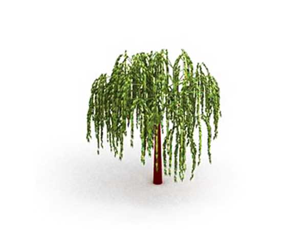 15 Weeping Willow Graphic Images