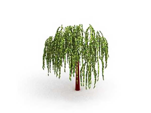 Willow Tree Clip Art Free