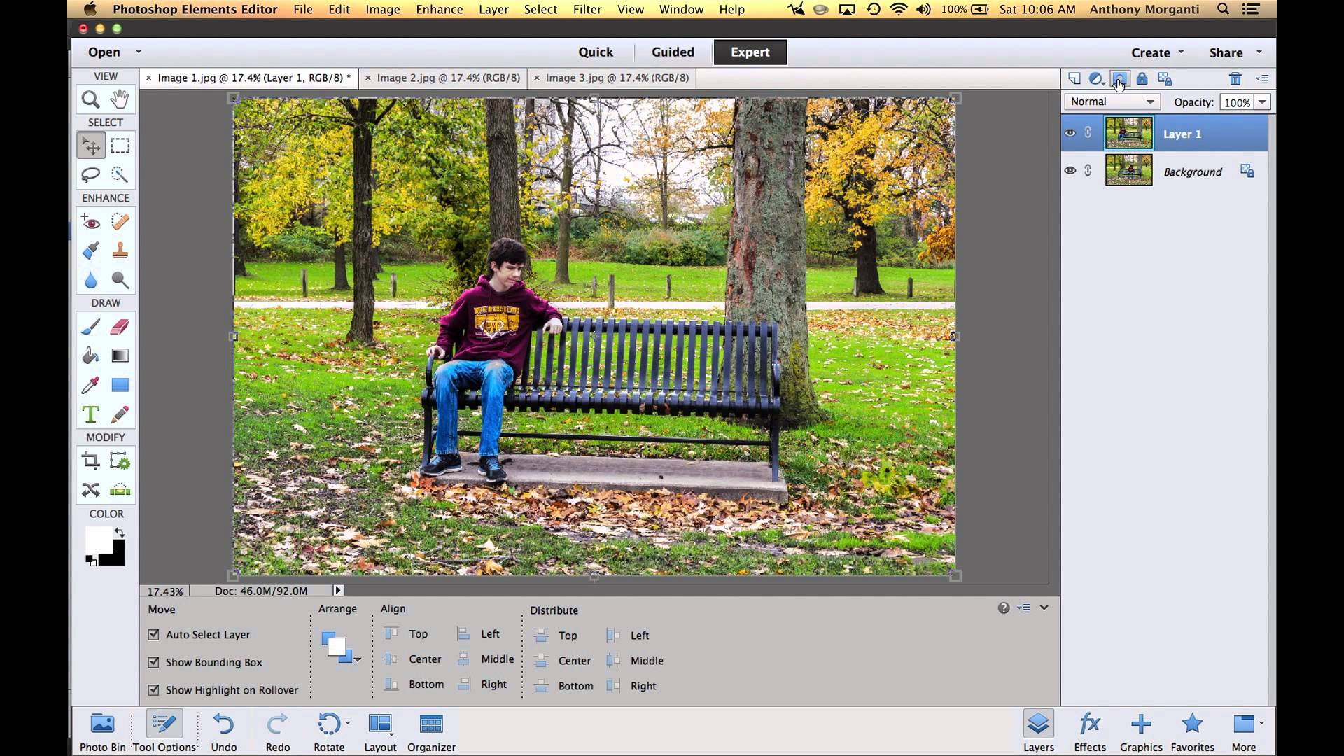 Adobe Photoshop Elements 12 Layers