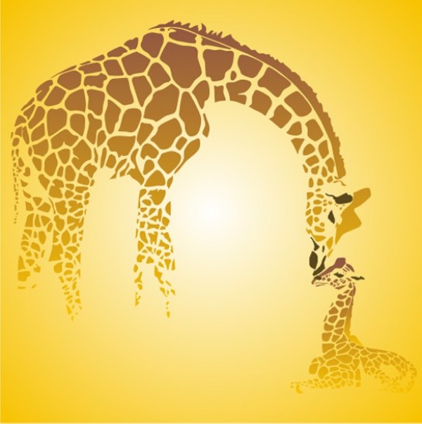 Baby Giraffe Vector Baby Giraffe Vector