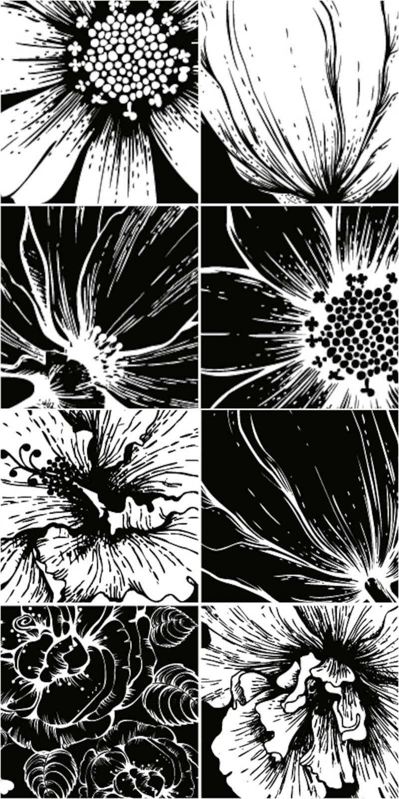 Black and White Flower Vector Art