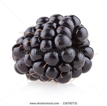 Blackberries Fruit