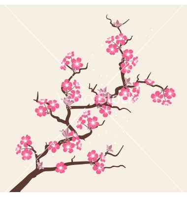 Cherry Blossom Flower Vector Cherry Blossom Flower Vector