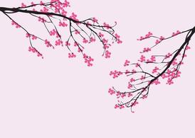 Cherry Blossom Vector Art Free