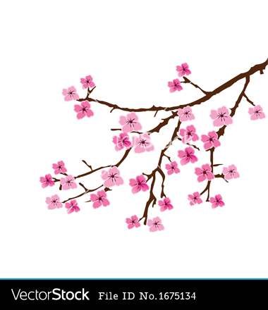 Cherry Blossom Vector Free Cherry Blossom Vector Free