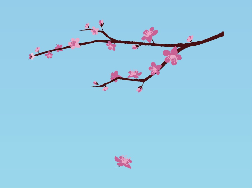 Cherry Blossom Vector Free Cherry Blossom Vector Free