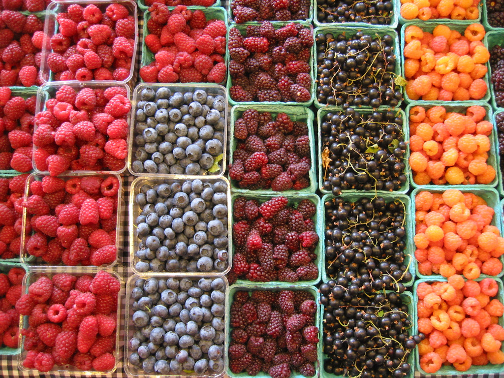 Different Types of Berries Fruit