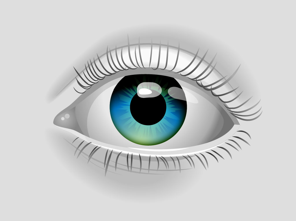 Eye Vector Art