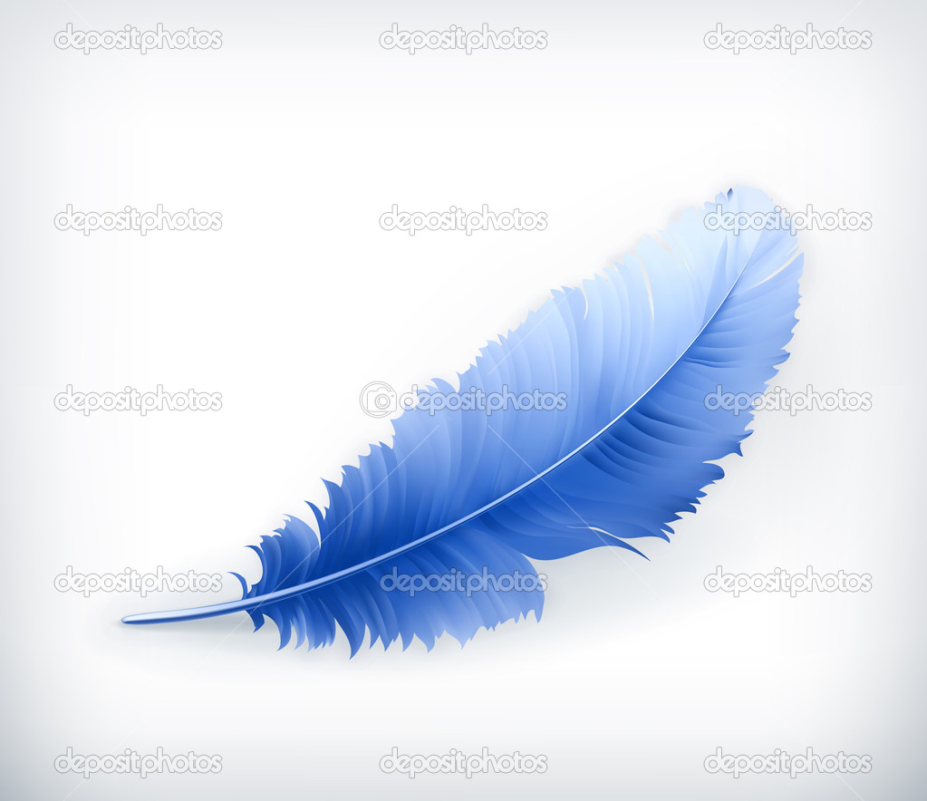Feather Vector