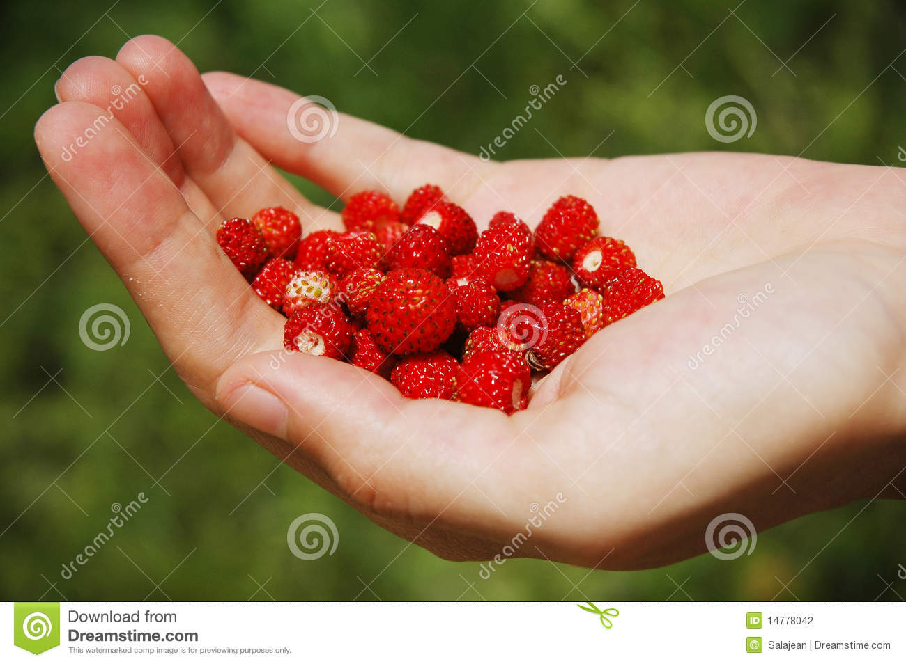 Food and a Human Holding Hands