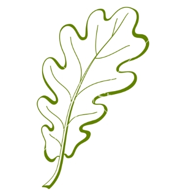 7 Photos of Oak Leaf Vector