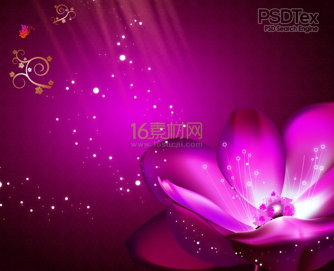 Full Background Wallpaper Purple Flowers