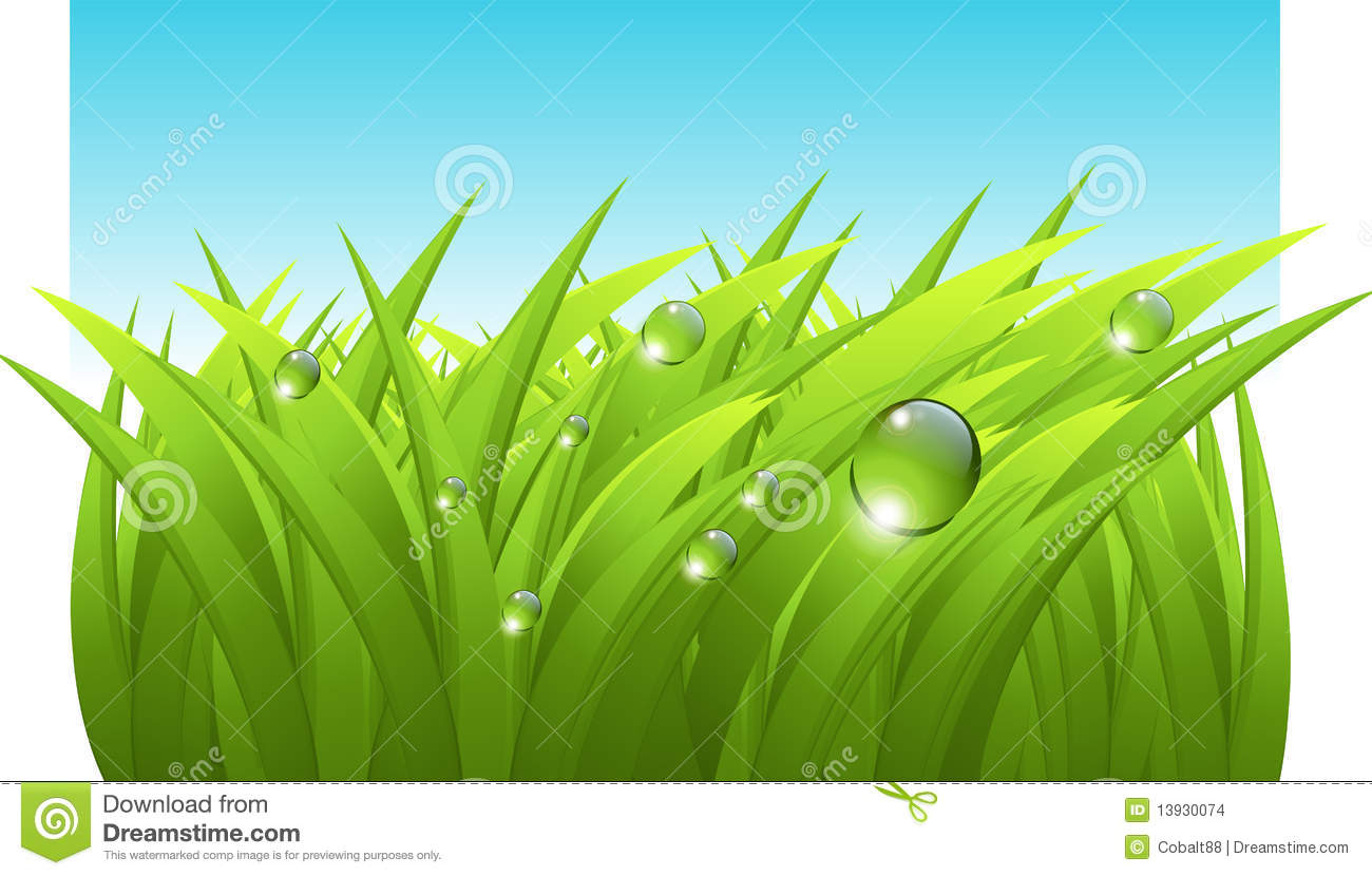 Grass and Sky Vector