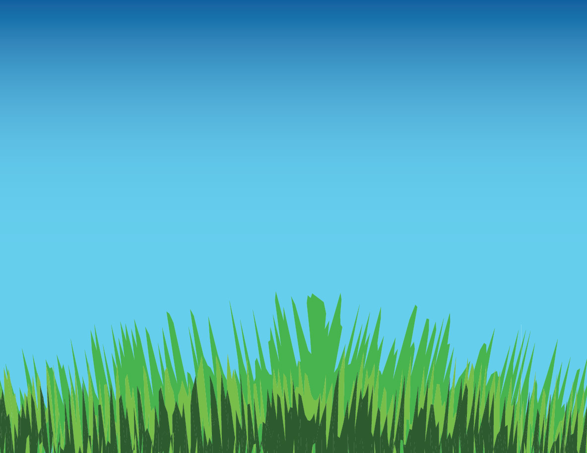 Grass Vector Illustration