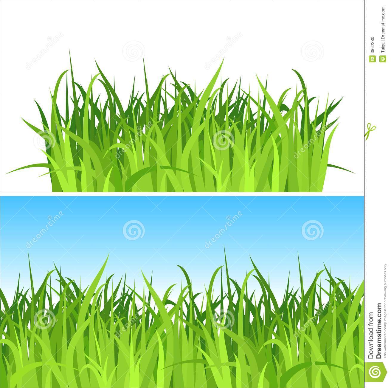 Grass Vector