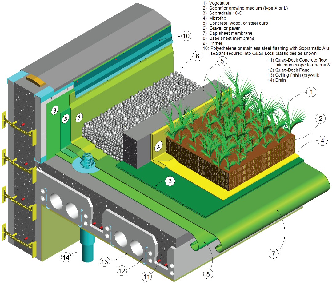 Green Building Design Construction