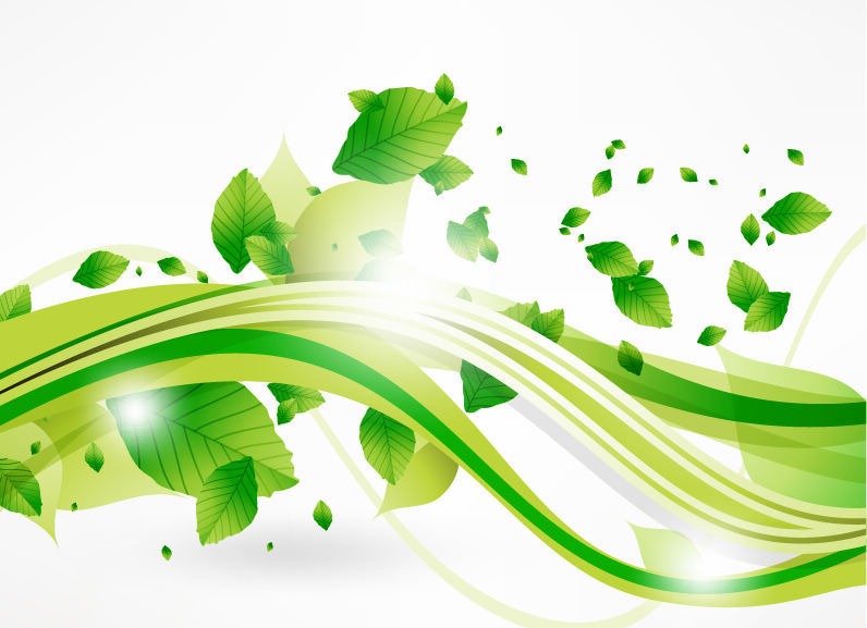 16 Photos of Green Eco -Leaf Vector Image