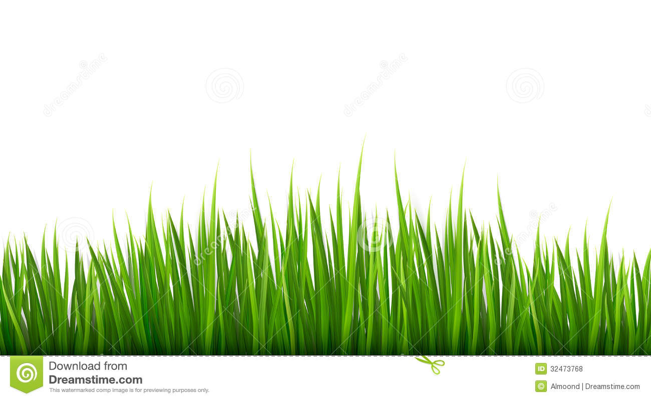 Greengrass Vector