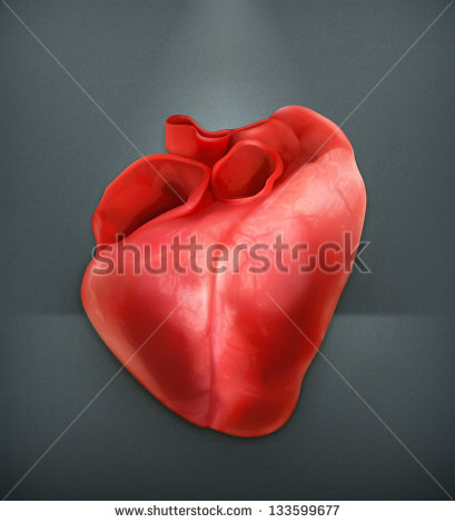 Human Heart Vector