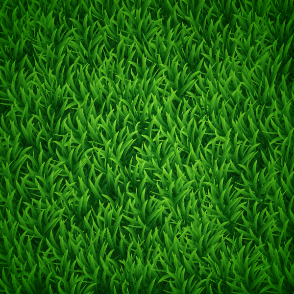 Illustrator Grass Vector