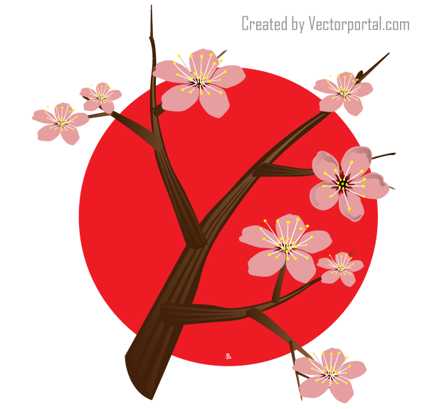 Japanese Cherry Blossom Tree Vector
