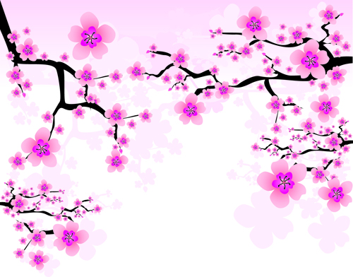 Japanese Cherry Blossom Vector Japanese Cherry Blossom Vector