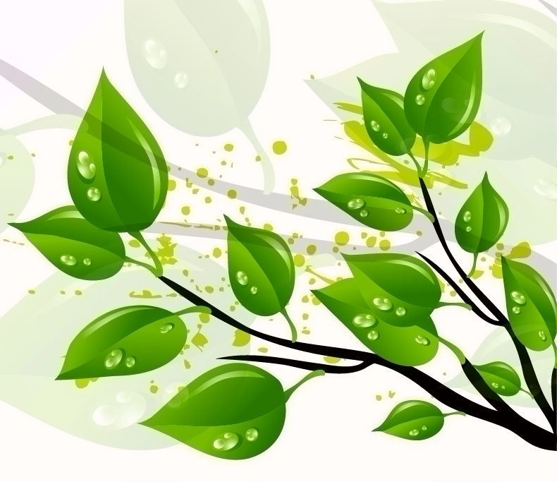 Leaf Vector Illustrations