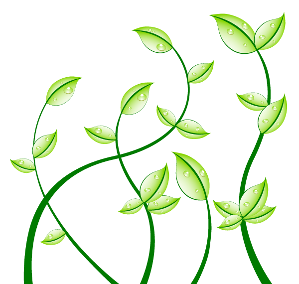 15 Leaf Vector Art Images