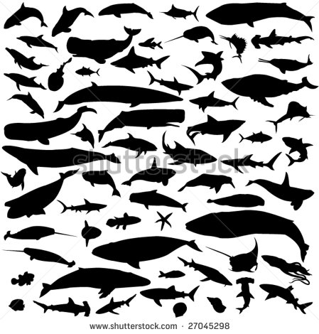 Marine Animal Silhouette