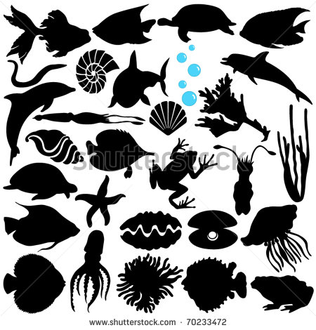 Marine Life Silhouette