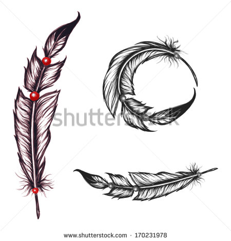 Native American Feather Vector