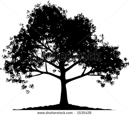 Oak Tree Silhouette Vector