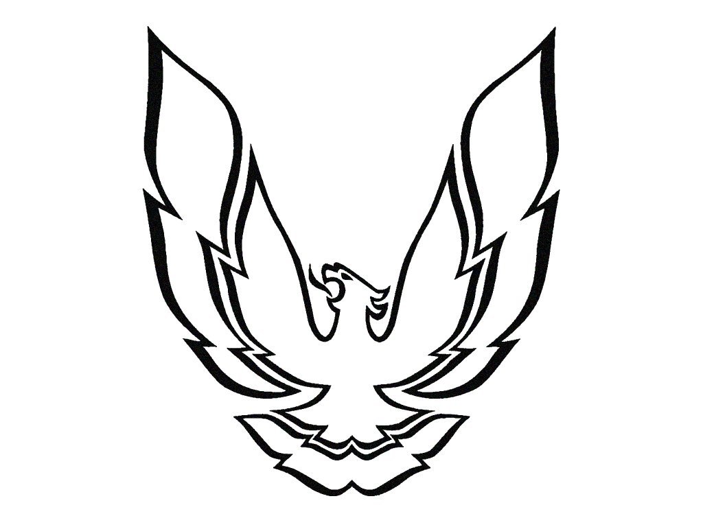 Pontiac Firebird Decals Hood Pontiac Firebird Decals Hood