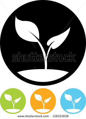 Seed Plant Vector Icon Seed Plant Vector Icon