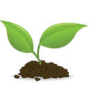 Small Plant Icon