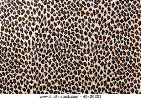 Stock Photography Animal Print