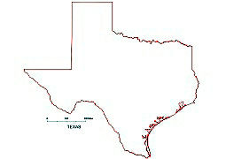 Texas State Map Vector