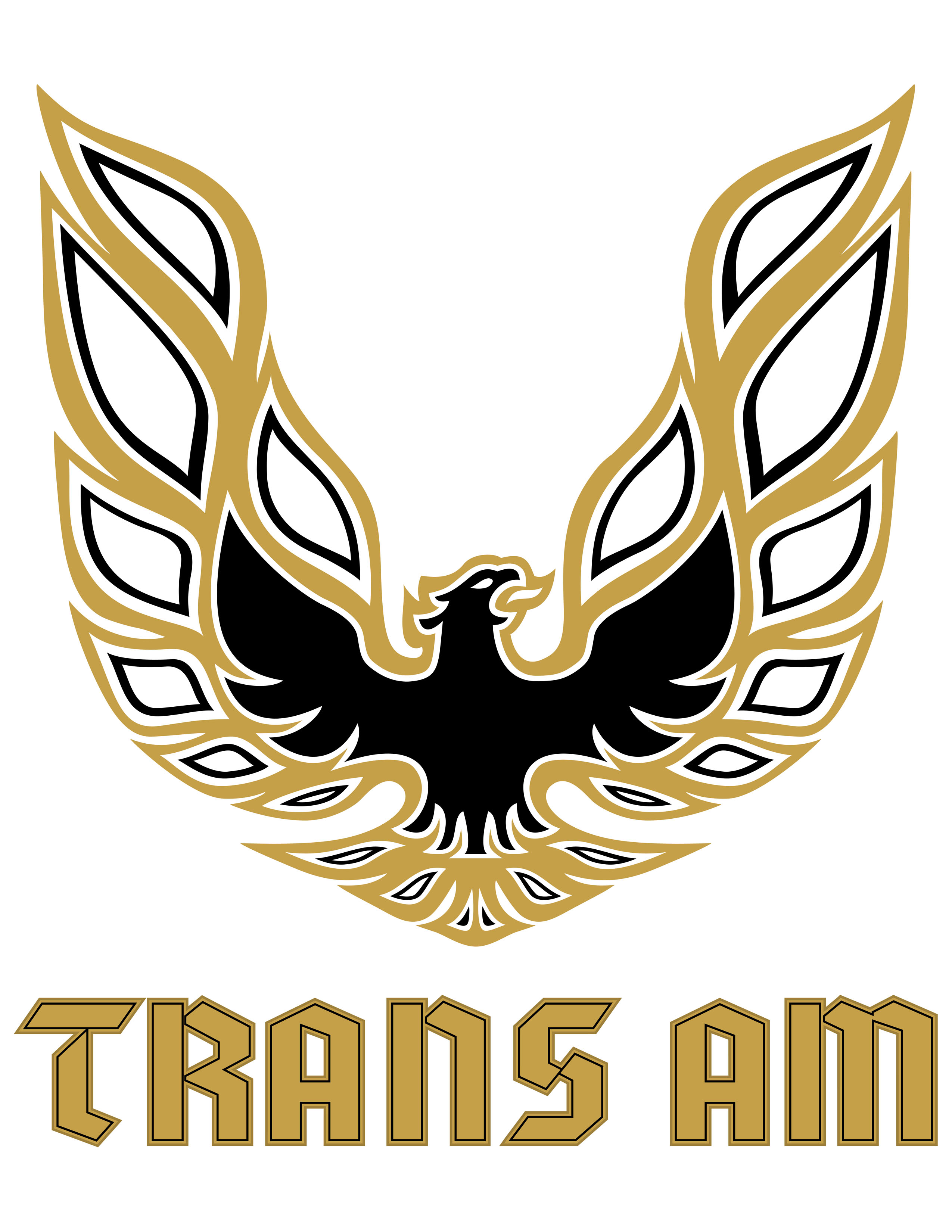 Trans AM Firebird Logo Trans AM Firebird Logo