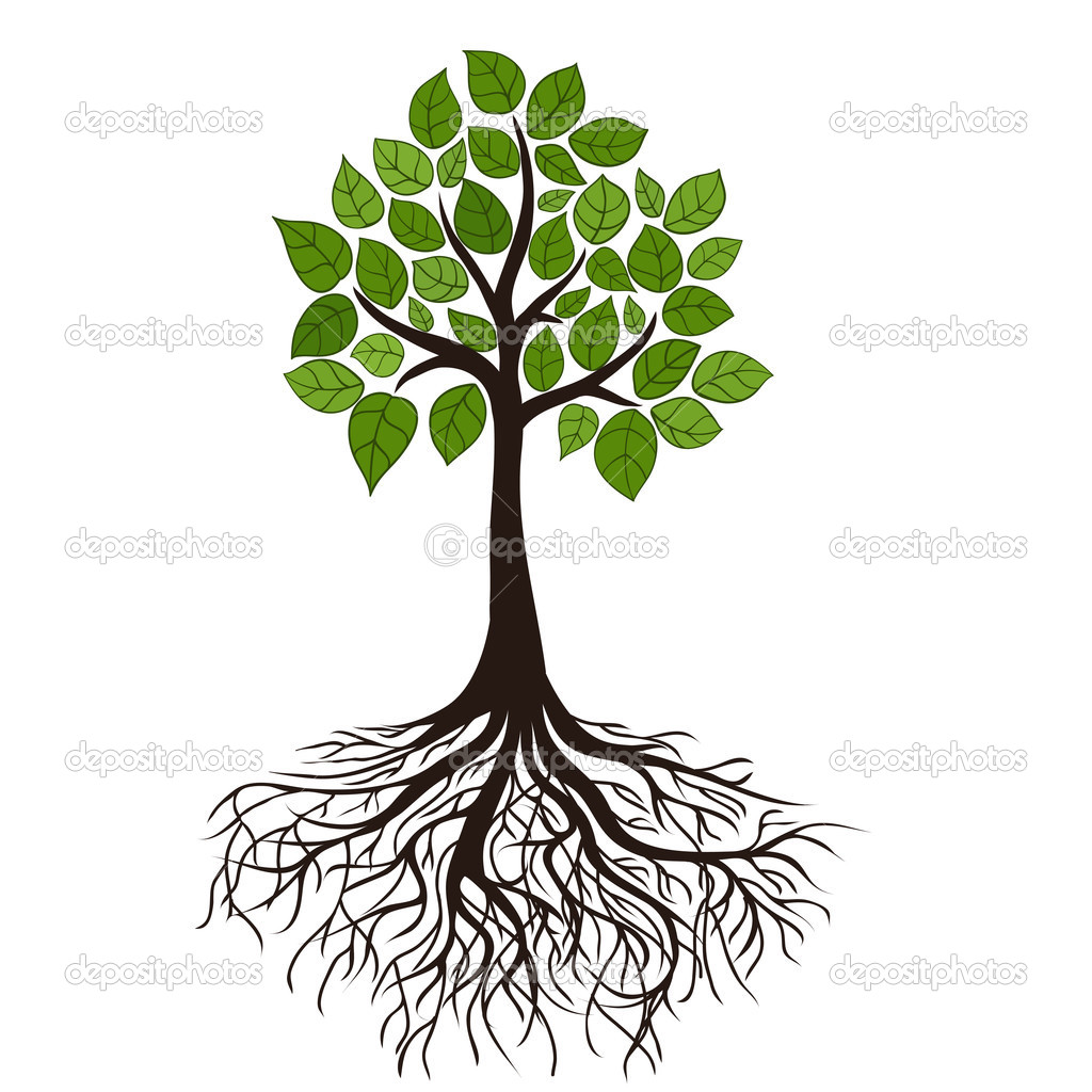 17 Tree Roots Vector Images