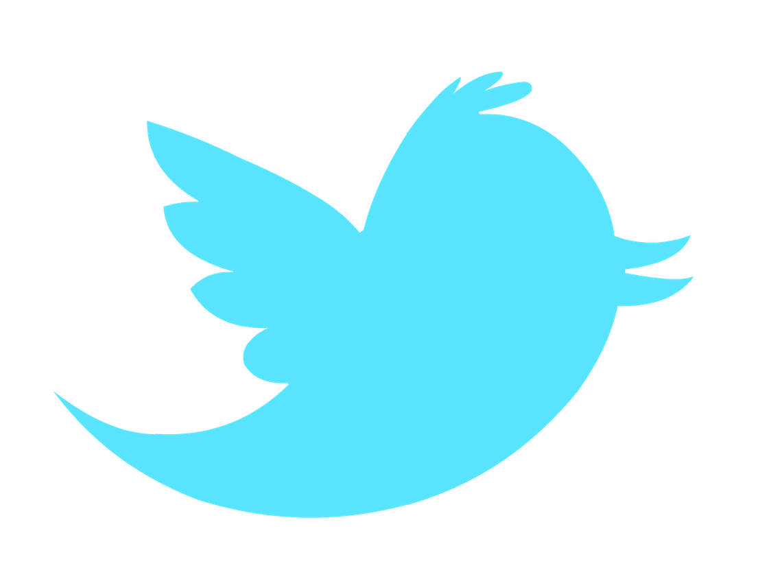 Twitter Bird Logo Transparent