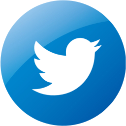 Twitter Circle Icon