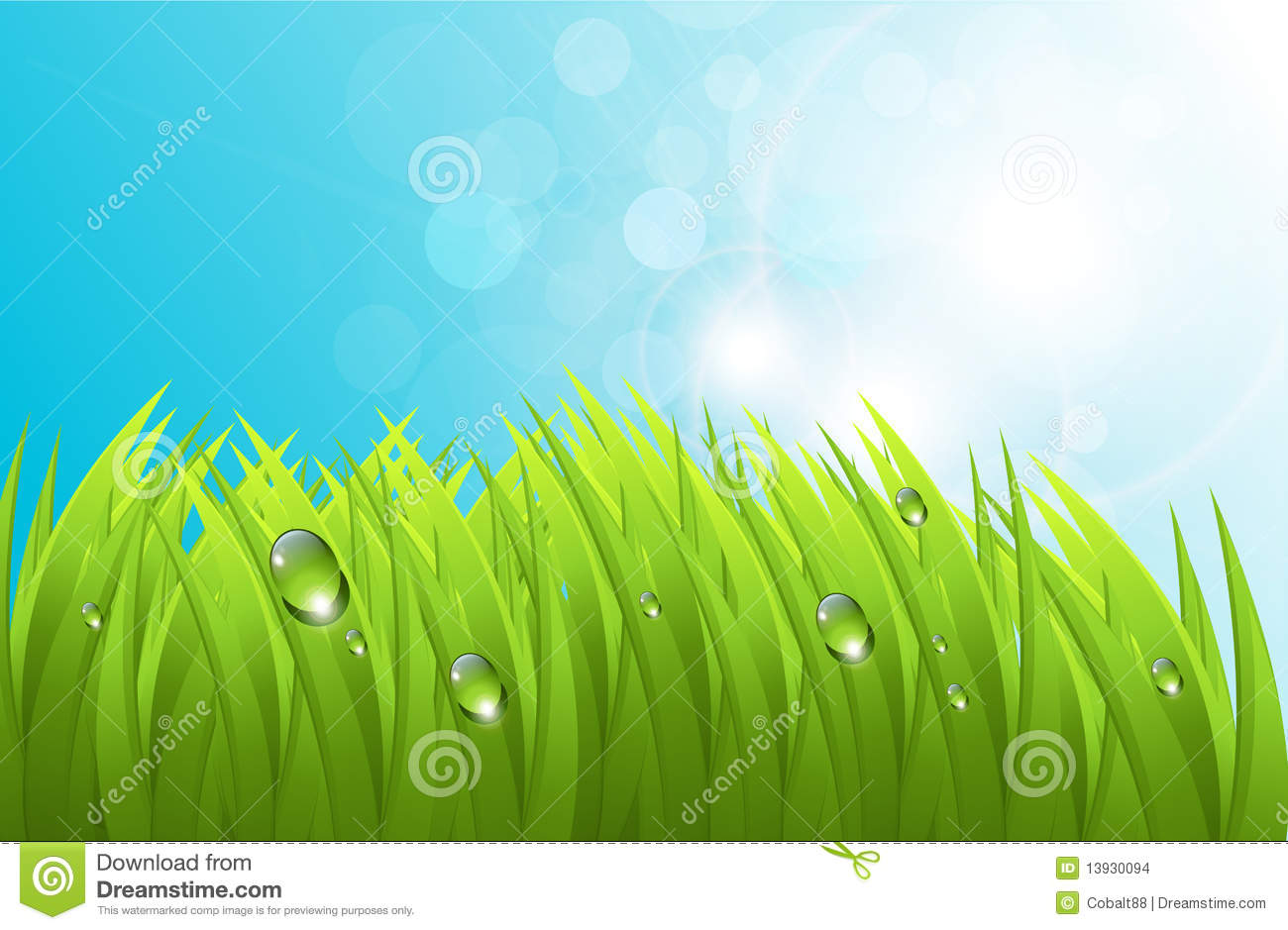 Vector Grass with No Background