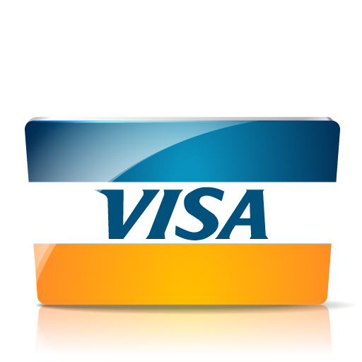 Visa Credit Card Logo