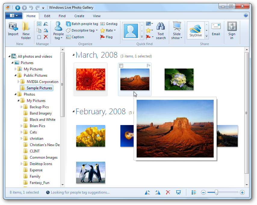 Windows 8 Live Photo Gallery