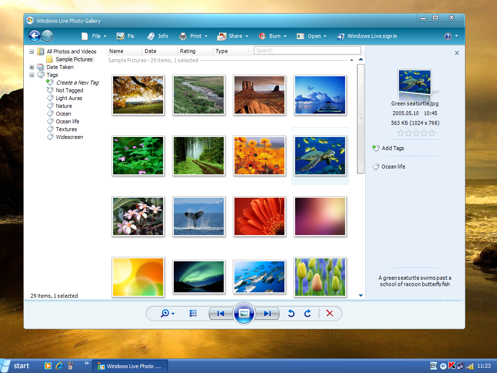 Windows Live Gallery