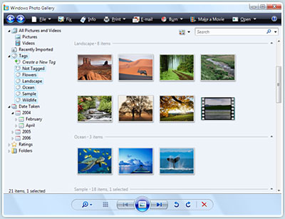 Windows Live Gallery